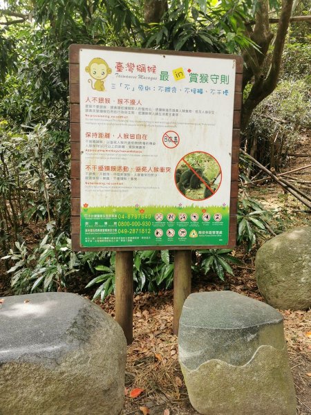 松柏嶺登廟步道-生態豐富的早期買賣古道1049384