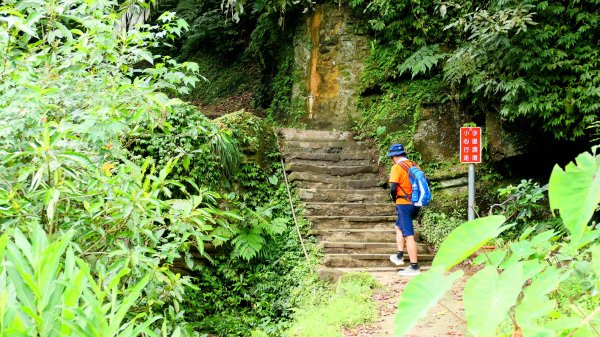 微笑山線銀河洞越嶺段2852815