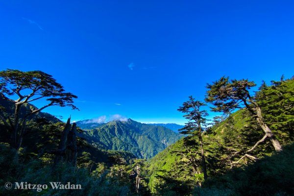 能高越嶺古道/天池山莊998386