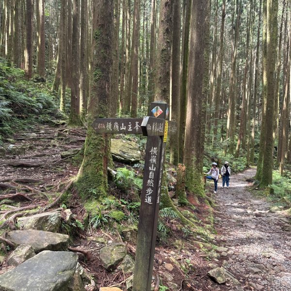 橫嶺山木馬古道輕鬆走2879024