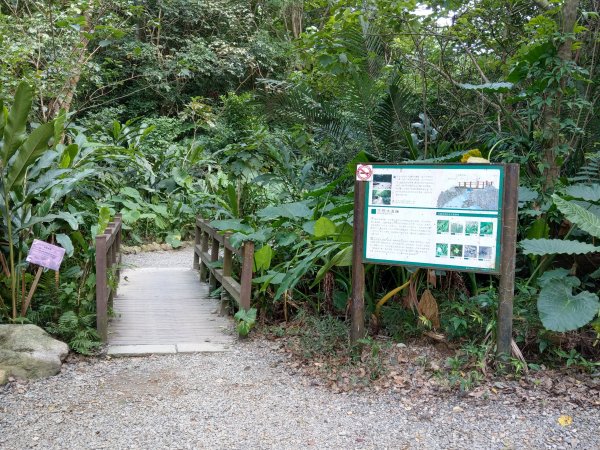 臺北大縱走-中華科技大學至捷運麟光站774397