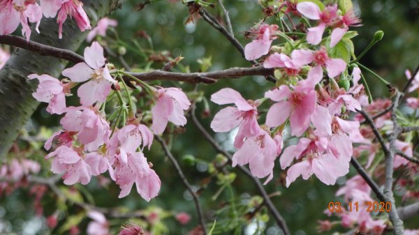 沒有意外，再度槓龜 !876575