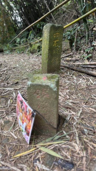 20250803枋山坑古道2850492