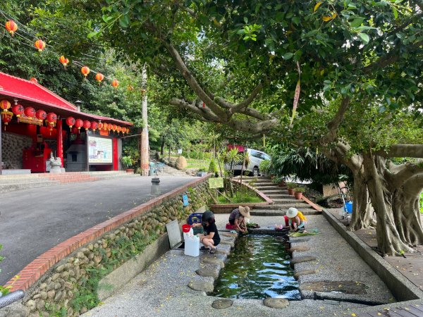 霄裡好風光，運動樂悠遊！2854805