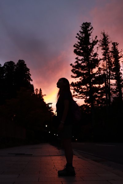 高野参詣道：不動坂に始まり祈りは奥の院へ2923241