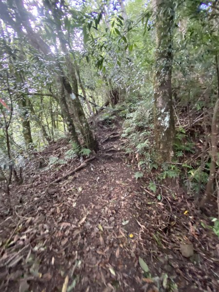 20250713-Ep.10李崠山步道-2025森遊竹縣皮皮獅探險隊2851947