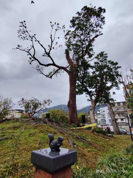 大港墘公園、港墘公園、梘頭福德祠、港墘福德廟2710944