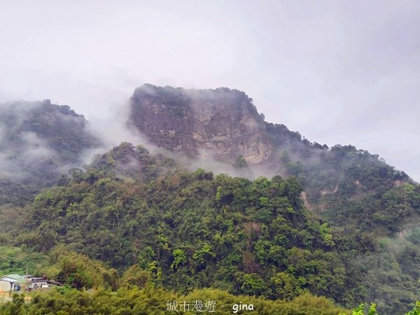【苗栗大湖】山頂展望佳等到雲海。 馬那邦山登山步道2806825