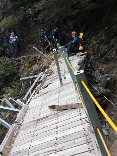 東埔-八通關古道-塔塔加1431582