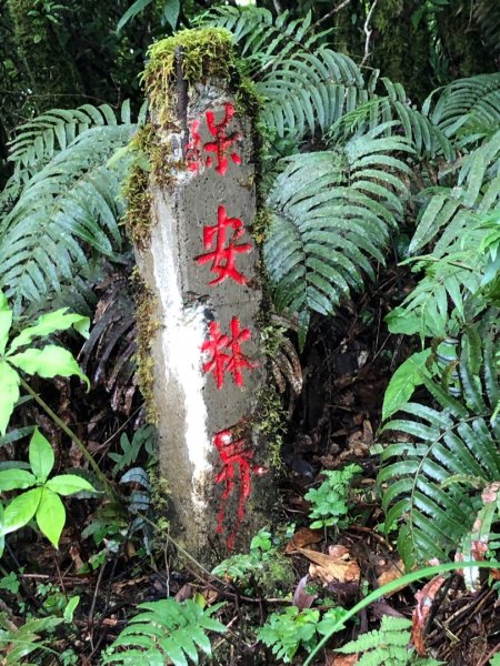 福巴越嶺古道上拉拉山（達觀山）1748367