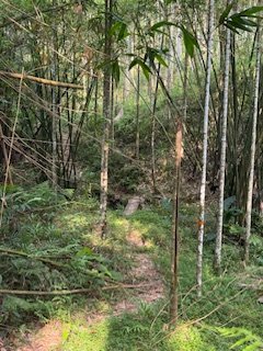 20250517 建安+鳥嘴+雙港子群峰 O型2788287