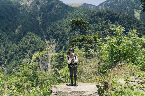 【合歡溪步道】好走來回約4小時，海拔2500M高，溪水寒冰刺骨，櫻花鉤吻鮭棲息地，賽德克巴萊拍攝點2169942