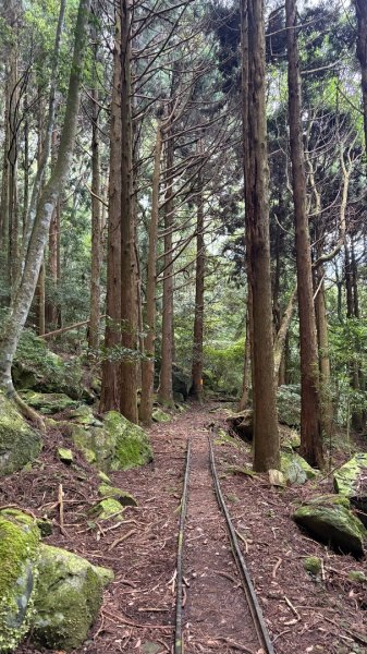 林鐵遺跡2878336