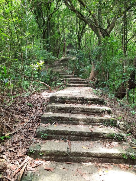 20230722 頂山石梯嶺縱走坪頂古圳，聖人瀑布2227215