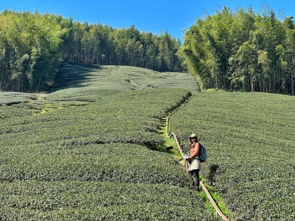 溪頭六連峰O繞2741770