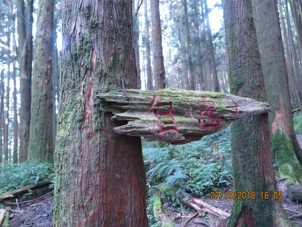 特富野古道449290