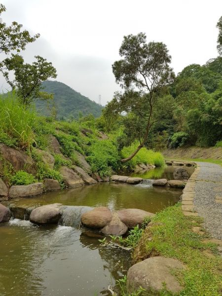 2018.07.23 內湖爬山趣408484