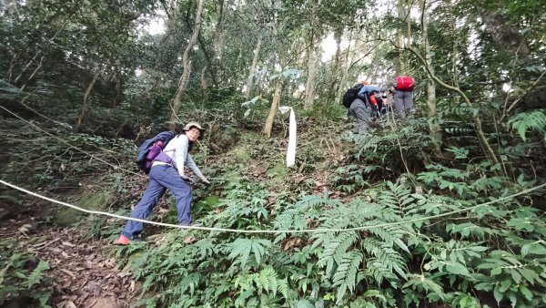 雙石大O繞縱走1150222 年初六3004535