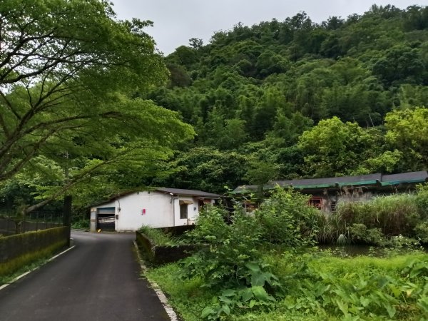 雙溪區平水+外柑腳山去回2784054