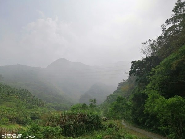 【雲林。古坑】在翠綠的山巒間散散步。 華山小天梯x情人橋1340494