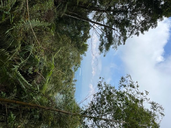 20230924_大湖尖山、大凍山（嘉義縣小百岳）2762735