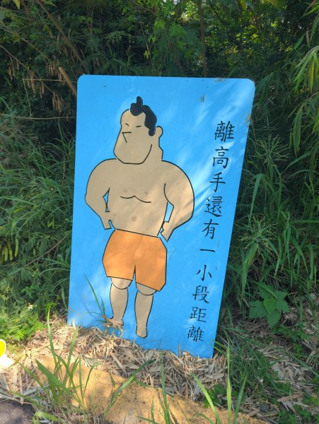 2025.10.05－阿罩霧山、中心瓏步道2908068