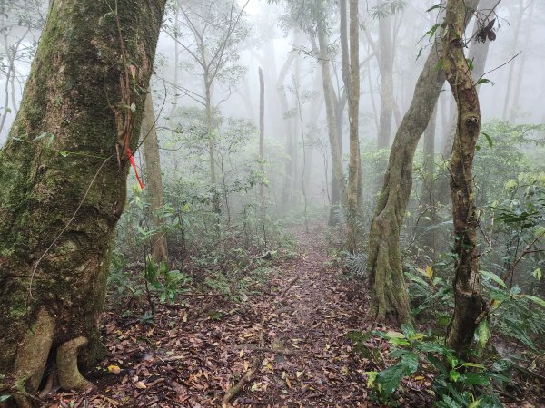 20230409那羅山、煤源山、大混山、道下山O型2141980