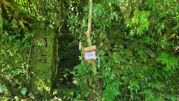 2026-0204 中坑古道_下坑古道O型3005573