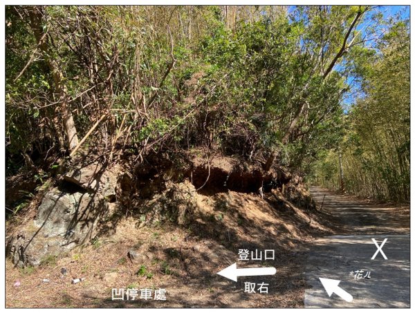 那羅山、煤源山、凌空廊道連走2684213