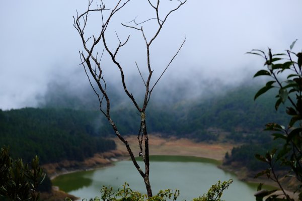 少了濃霧的翠峰湖環山步道805873