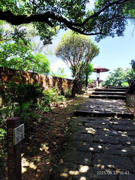 翠山步道、大崙頭尾山親山步道【臺北健走趣】2874336