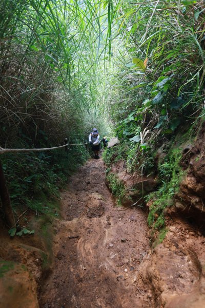 大屯山系十連峰2554044