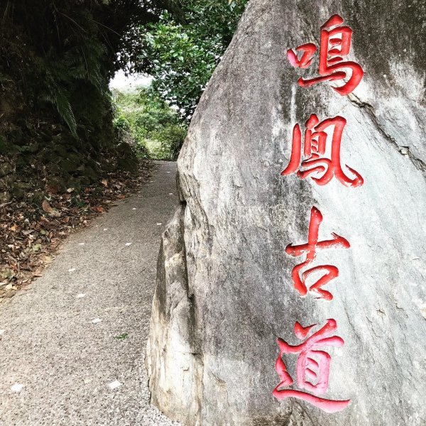 苗栗獅潭-鳴鳳古道1222157