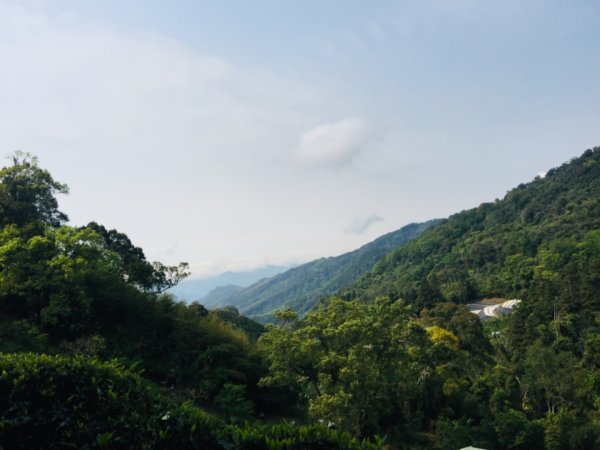 瓏美麗一週一步道（馬那邦山）558304