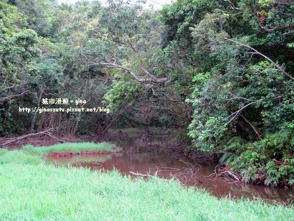 【屏東。滿州】台灣僅存的低海拔原始林區。南仁山生態保護區