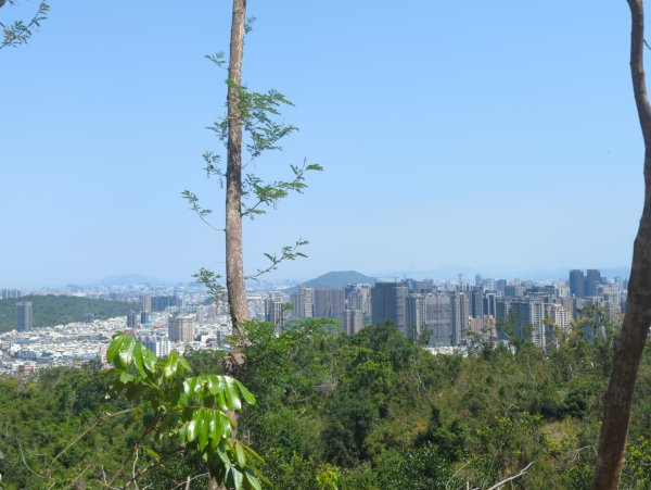 2025.03.25－壽山健走2746380