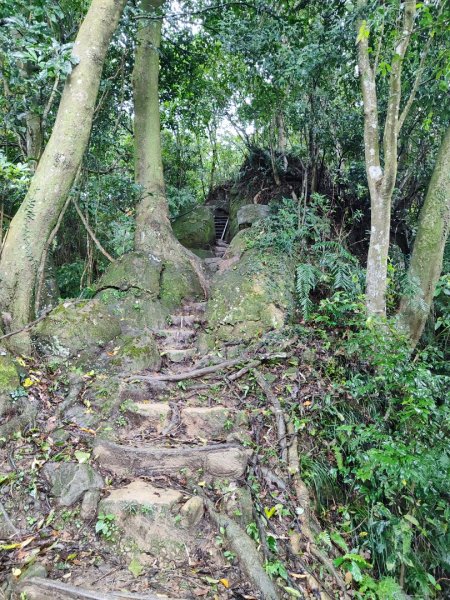 天上山雨中漫步2643237