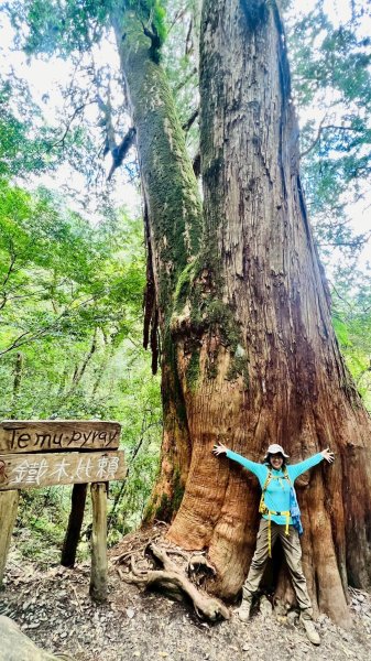 🌈8/16（六）遠的要命的王國~鎮西堡B區神木巡禮✨FB：熊熊趴爬走🌈2861627