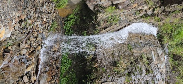 觀高山屋／龍貓公車／八通關山／八通關山西峰2927380