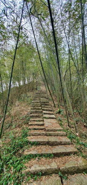 2025-01-19孝子路步道、大巃頂2694256