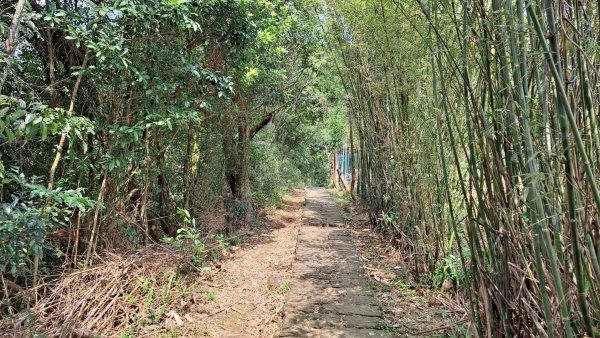 20240305坪頂古圳-登峰圳-內雙溪古道-瑪礁古道-大崎頭步道O繞2447165