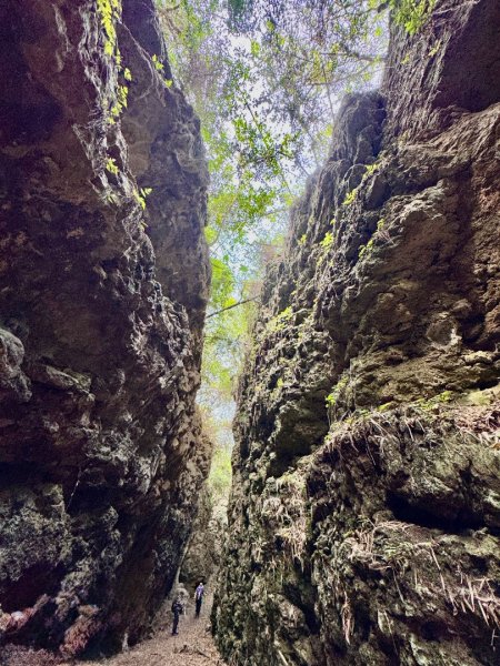 大崗山(小百岳#74)龍盤峽谷一線天2764651