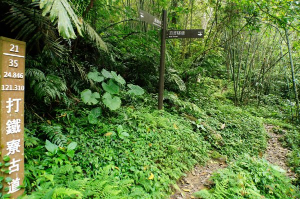 桃園 大溪 草嶺山、白石山、十三分山3040386