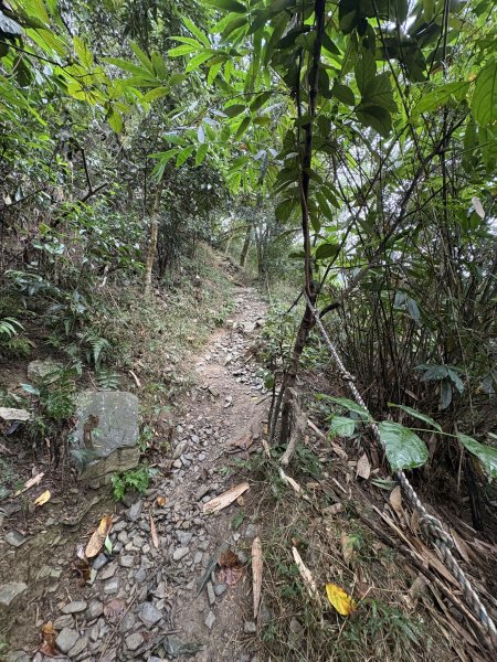 20251227尾寮山登山步道2970507