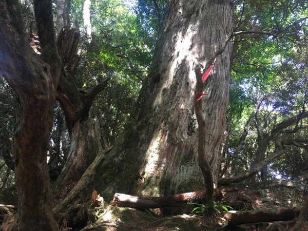 高島縱走（石麻達山2592523