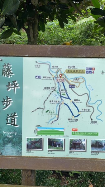 寶山水庫、藤坪步道2284552