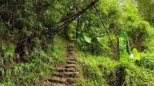 燕溪古道-大崙尾山西峰-仙座台山-圓明寺步道2926529