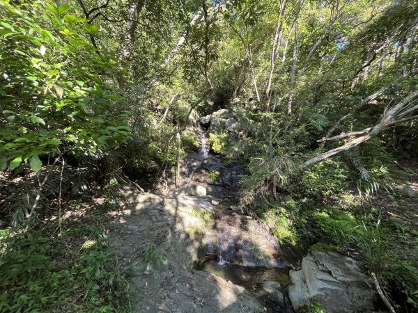 [玉山尋寶任務-03/12] 2025_0810 瓦拉米步道2857453