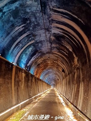 【苗栗】貓貍山公園功維敘隧道2981672