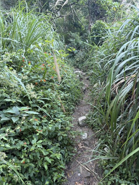 20251213屏東里龍山2961273